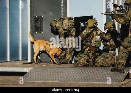 Grinding Angle, Deutschland. 16th Mar, 2023. Feldjaeger soldiers, photographed as part of a capability show at the Bundeswehr armed forces base in Mahlwinkel, March 16, 2023. Recording for editorial use only! Credit: dpa/Alamy Live News Stock Photo