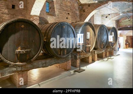 Wine cellar in the Abbey of Monte Oliveto Maggiore Stock Photo