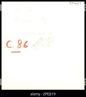 Man punting a raft along the Rio Grande river (Rio Grande River