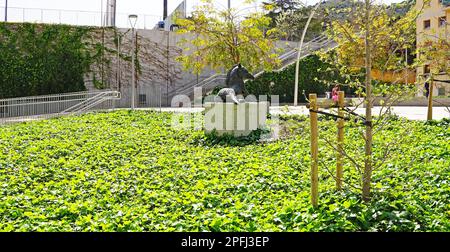 sculpture of a wild boar in a square on Tir street in Barcelona, Catalunya, Spain, Europe Stock Photo