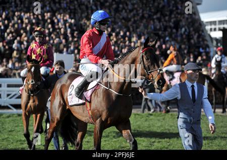 Boodles Cheltenham Gold Cup   A Plus Tard ridden by Rachael Blackmore before the race    Horse racing at Cheltenham Racecourse on Day 4 the final day Stock Photo