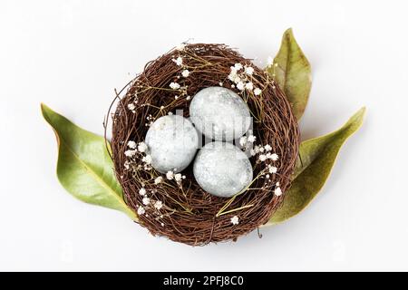 Minimalistic Easter concept. Brown nest of twigs with three gray Easter eggs, feathers, dried magnolia leaves and sprigs of gypsophila on gray backgro Stock Photo