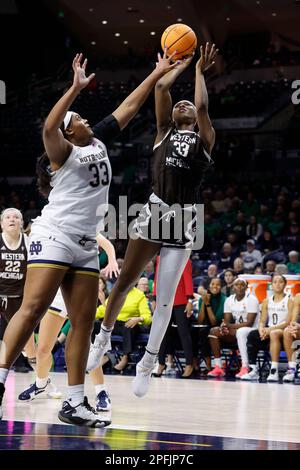 Taylor Williams - Women's Basketball - Western Michigan University Athletics