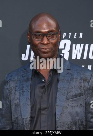 LOS ANGELES - MAY 15: Boban Marjanovic at the John Wick Chapter 3  Parabellum Los Angeles Premiere at the TCL Chinese Theater IMAX on May 15,  2019 in Los Angeles, CA Stock Photo - Alamy