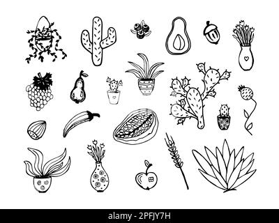 Different types of plants, black doodle set Stock Vector