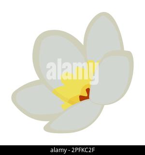 Single jasmine flower, colorful illustration Stock Vector