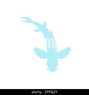 Chinese fish carp top view icon sign isolated. Vector illustration Stock Vector