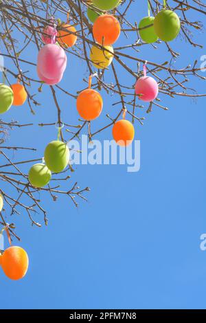 Green and pink Easter eggs on tree branches against a blue sky Stock Photo