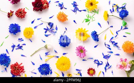 Colorful spring flowers background. different colorful spring flowers scattered on white background. Decoration floral pattern, Easter, Birthday, Happ Stock Photo