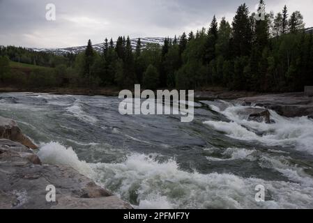 Laksforsen cascade in Grane municipality in Nordland Province in