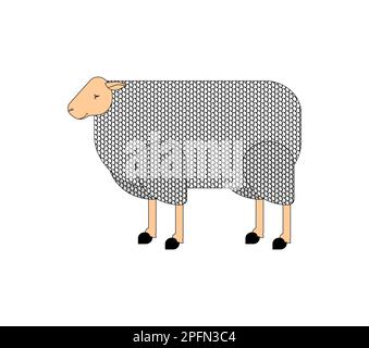 Sheep linear illustration. ewe isolated. Vector illustration Stock Vector