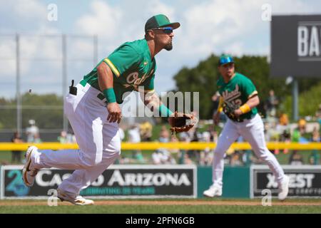 Oakland Athletics' Aledmys Diaz during a baseball game against the Houston  Astros in Oakland, Calif., Sunday, July 23, 2023. (AP Photo/Jeff Chiu Stock  Photo - Alamy