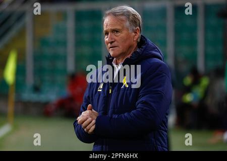 Palermo, Italy. 17th Mar, 2023. Gennaro Tutino (Palermo) celebrates the  victory during Palermo FC vs Modena FC, Italian soccer Serie B match in  Palermo, Italy, March 17 2023 Credit: Independent Photo Agency/Alamy