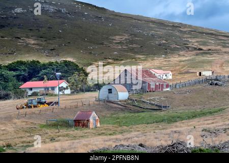 Falkland Islands, Carcass island. Farm Stock Photo
