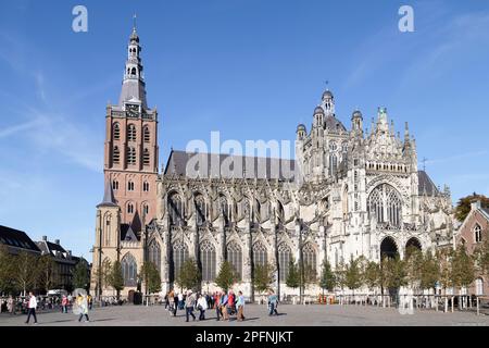 St. John's Cathedral, in the center of the city Den Bosch. Stock Photo