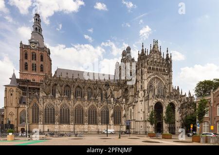 St. John's Cathedral, in the center of Den Bosch in the Netherlands. Stock Photo