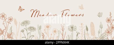 Meadow flowers background. Hand drawn field wildflowers border. Vector illustration in sketch style. Aesthetic botany horizontal design Stock Vector