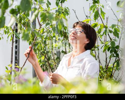 Woman chooses plants and trees for landscaping. Outdoor shelves with seedlings, flowering plants and seeds in flower shop. Open air agronomic market. Stock Photo
