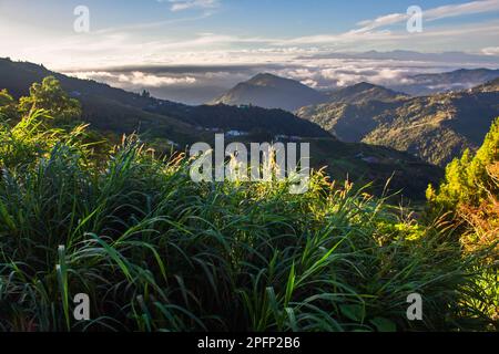 Beautiful valley view of crocker mountain range in the island of Borneo, near Kinabalu National Park, Sabah, Malaysia Stock Photo