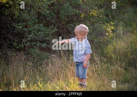 Little toddler boy in blue shirt shorts collects wild flowers in bouquet for gift to mother in the meadow. Walking, traveling on weekends with family Stock Photo