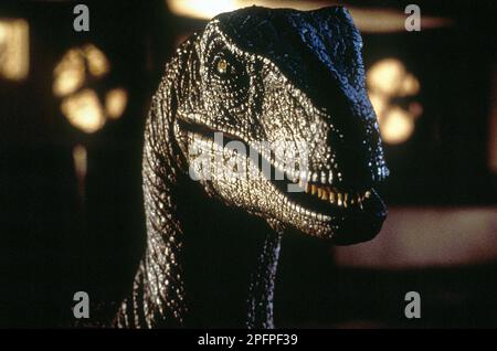 Jurassic Park 1993.  velociraptor Stock Photo