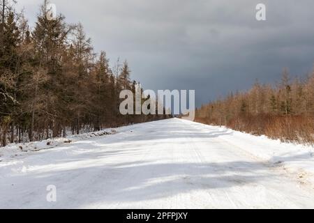 Snow-covered road leading through the wetlands and forest of Sax-Zim Bog, Minnesota, USA Stock Photo