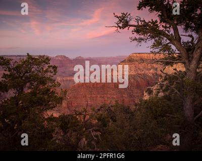 Grand Canyon National Park - Wikipedia