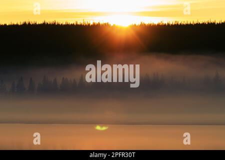 Water-surface, ground-level fog over the lake, ice and coniferous forest. Fog patches, fog wave. Spring in Lapland Stock Photo
