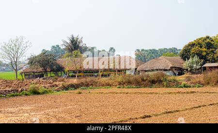 Thatched houses in a row on an agriculture field against a clear sky horizon background. Rural Indian village Landscape view. Murshidabad Sagardihi Ar Stock Photo