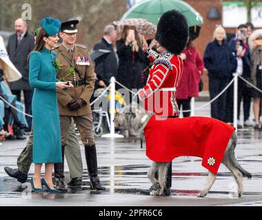 Aldershot, England. UK.  17 March, 2023.  Catherine, Princess of Wales presents regimental mascot Irish Wolf Hound 'Turlough Mor' (aka Seamus) with a Stock Photo