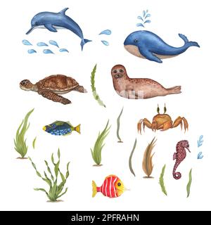 Watercolor sea set with cute whale, dolphin, fur seal, fish, seahorse, turtle and seaweeds isolated on white background. For baby textile, wallpaper Stock Photo