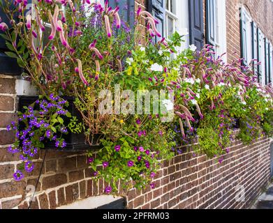 Savannah, a coastal Georgia city, is separated from South Carolina by the Savannah River. It’s known for manicured parks, horse-drawn carriages and an Stock Photo