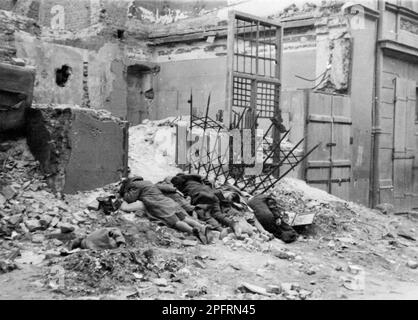 In January 1943 the nazis arrived to round up the Jews of the Warsaw Ghetto  The Jews, resolved to fight it out, took on the SS with homemade and primitive weapons. The defenders were executed or deported and the Ghetto area was systematically demolished. This event is known as The Ghetto Uprising. This image shows the bodies of Jews executed after their capture. This image is from the German photographic record of the event, known as the Stroop report. Stock Photo