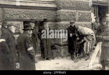 In the early stages of WW2 the Jews in nazi occupied europe were rounded up and forced into crowded ghettoes. When the decision was made to kill them all they were deported to extermination centres to be murdered. . This image shpws SS officers forcing Jews to pray in the street in the presence of Jewish policemen (Lwow) Lviv. Stock Photo