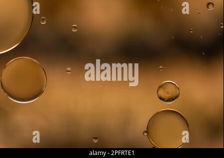 Abstract colorful bubbles. Soft background with gold and copper color circles. Stock Photo