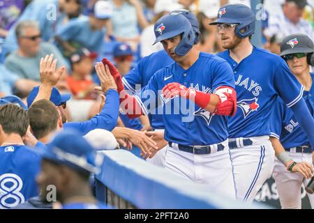 Danny jansen hi-res stock photography and images - Page 2 - Alamy
