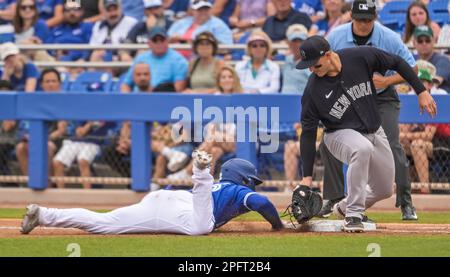 Toronto Blue Jays left fielder Daulton Varsho (25) during the MLB game  between the Toronto Blue Jays and the Houston Astros on Tuesday, April 18,  2023 Stock Photo - Alamy