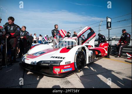 06 TANDY Nick (gbr), JAMINET Mathieu (fra), CAMERON Dane (usa), Porsche Penske Motorsport, Porsche 963, action during the Mobil 1 Twelve Hours of Sebring 2023, 2nd round of the 2023 IMSA SportsCar Championship, from March 15 to 18, 2023 on the Sebring International Raceway in Sebring, Florida, USA - Photo: Jan-patrick Wagner/DPPI/LiveMedia Stock Photo