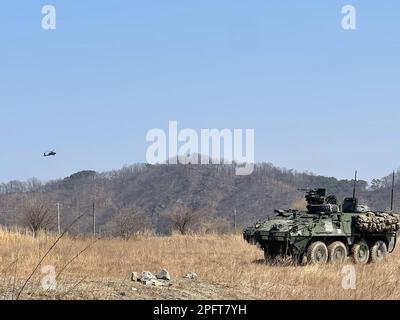 Soldiers from 5th Squadron, 17th Cavalry Regiment, 2nd Combat Aviation Brigade, 2nd Infantry ROK-U.S. Combined Division establish area security with AH-64E Apache helicopters for 4th Battalion, 23rd Infantry Regiment, 2nd Stryker Brigade Combat Team, 2nd Infantry Division during Exercise Warrior Shield on March 18, 2023 at Goldmine Training Area, South Korea. Warrior Shield is a training exercise within the 2nd Infantry Division that employs Fight Tonight fundamentals and capabilities. (U.S. Army photo courtesy of Capt. Abby Blount) Stock Photo