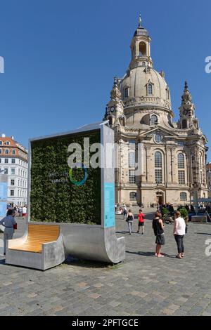 Greened board from university of applied scenses Dresden, in front of Frauenkirche, Dresden, Saxony, Germany Stock Photo