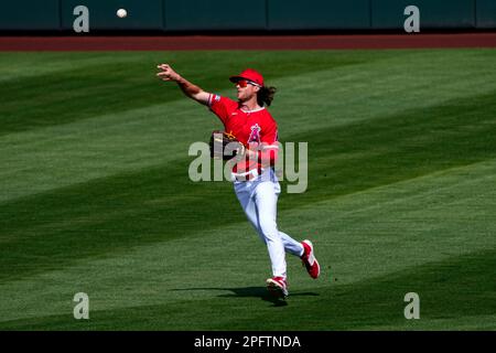 Los Angeles Angels' Brett Phillips fields a base hit by Texas Rangers'  Bubba Thompson during the xx inning of a spring training baseball game,  Saturday, March 18, 2023, in Tempe, Ariz. (AP