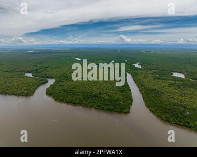 Jungle and mangroves in wetlands. Menumbok forest reserve. Borneo ...