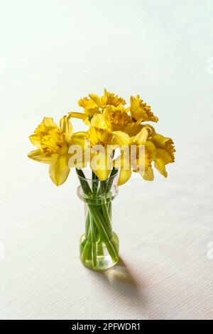 Yellow daffodil flowers, Easter bells, in a vase., a bouquet for spring with copy space. Stock Photo