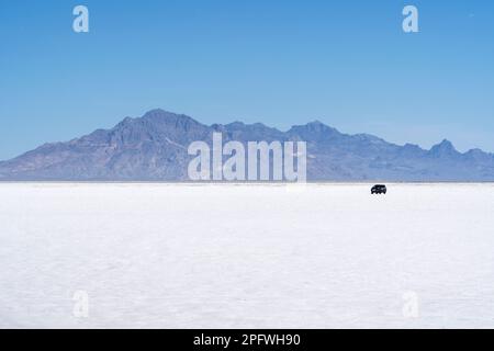 A car parked on the Bonneville Salt Flats Stock Photo