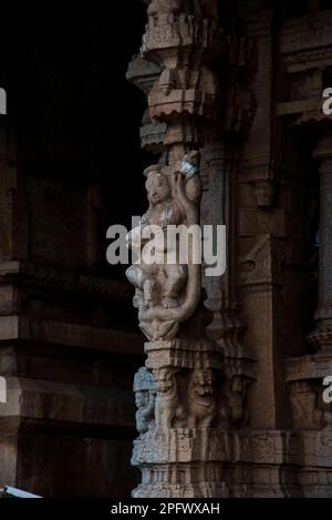 Beautiful sculpture in the Vijaya Vitthala Temple in Hampi. Hampi, the capital of Vijayanagar Empire is a UNESCO World Heritage site.