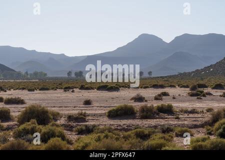 South african landscape on a game safari, Aquila Private Game Reserve Stock Photo