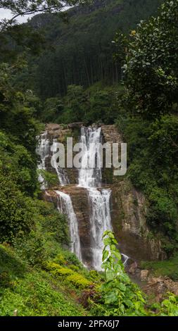 A lush green forest of tall trees covers the mountainside, with a majestic waterfall cascading down in the background Stock Photo