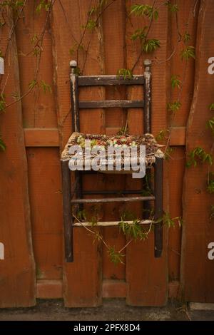 Original garden decor. An old chair is nailed to the fence. The chair hangs in the air. Stock Photo