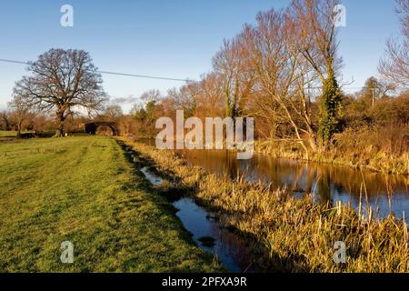 Winter Sunshine on disused Stroudwater Navigation Canal with Occupation Bridge, Fromebridge, Berkeley Vale, Gloucestershire, UK Stock Photo