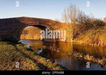 Winter Sunshine on Occupation Bridge, with disused Stroudwater Navigation Canal, Fromebridge, Berkeley Vale, Gloucestershire, UK Stock Photo